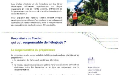 L’élagage : Communication ENEDIS