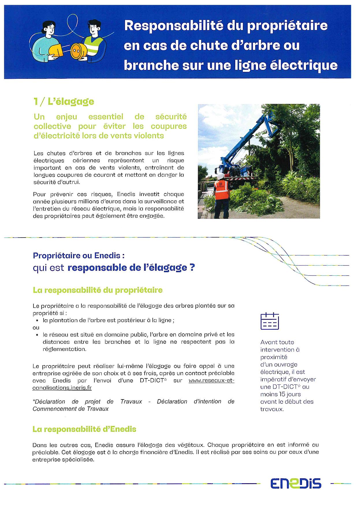 Élagage ENEDIS